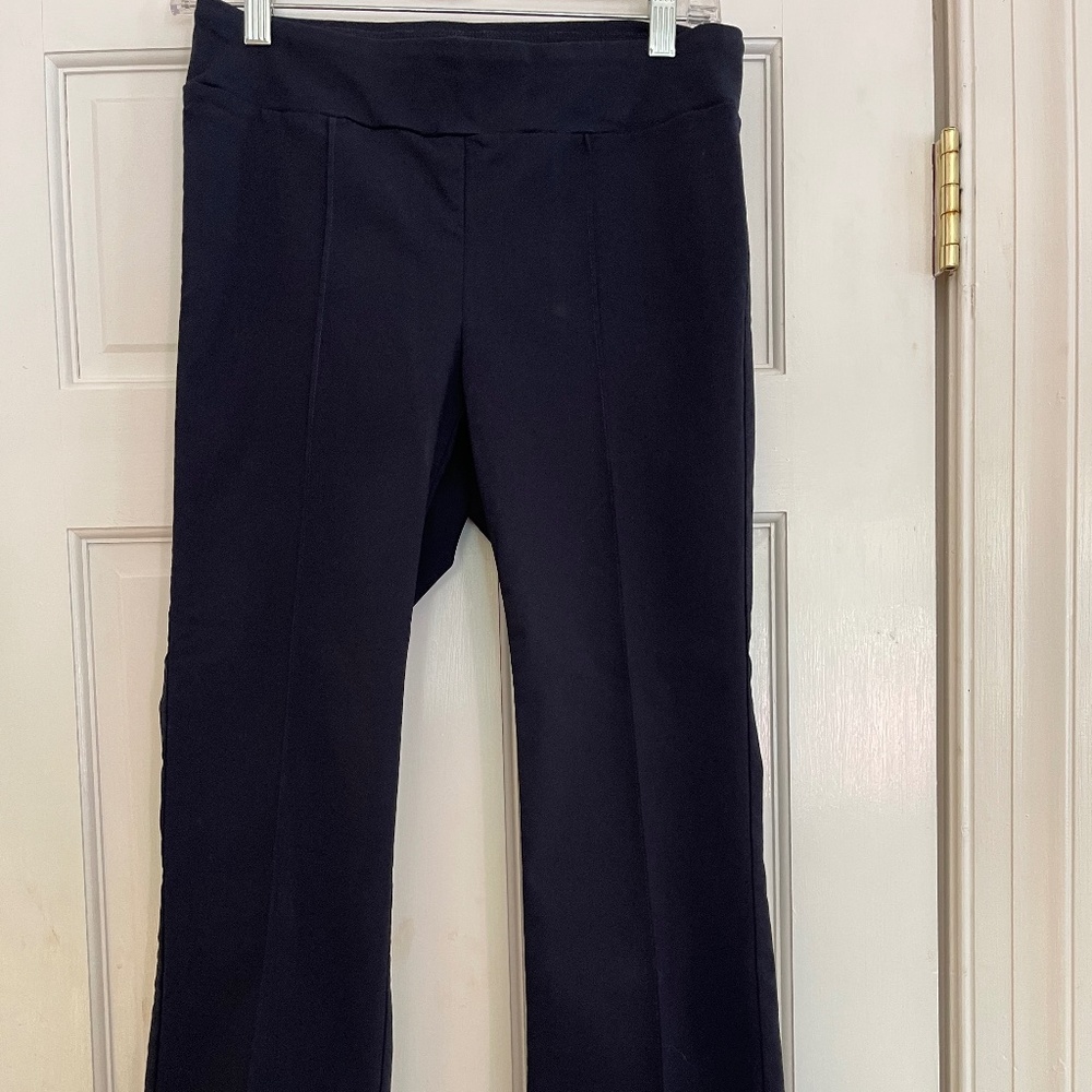 J McLaughlin Women's Small Ivy Pant in Navy Blue